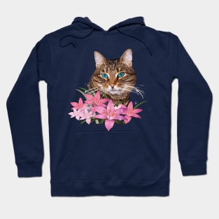 Cat Hoodie